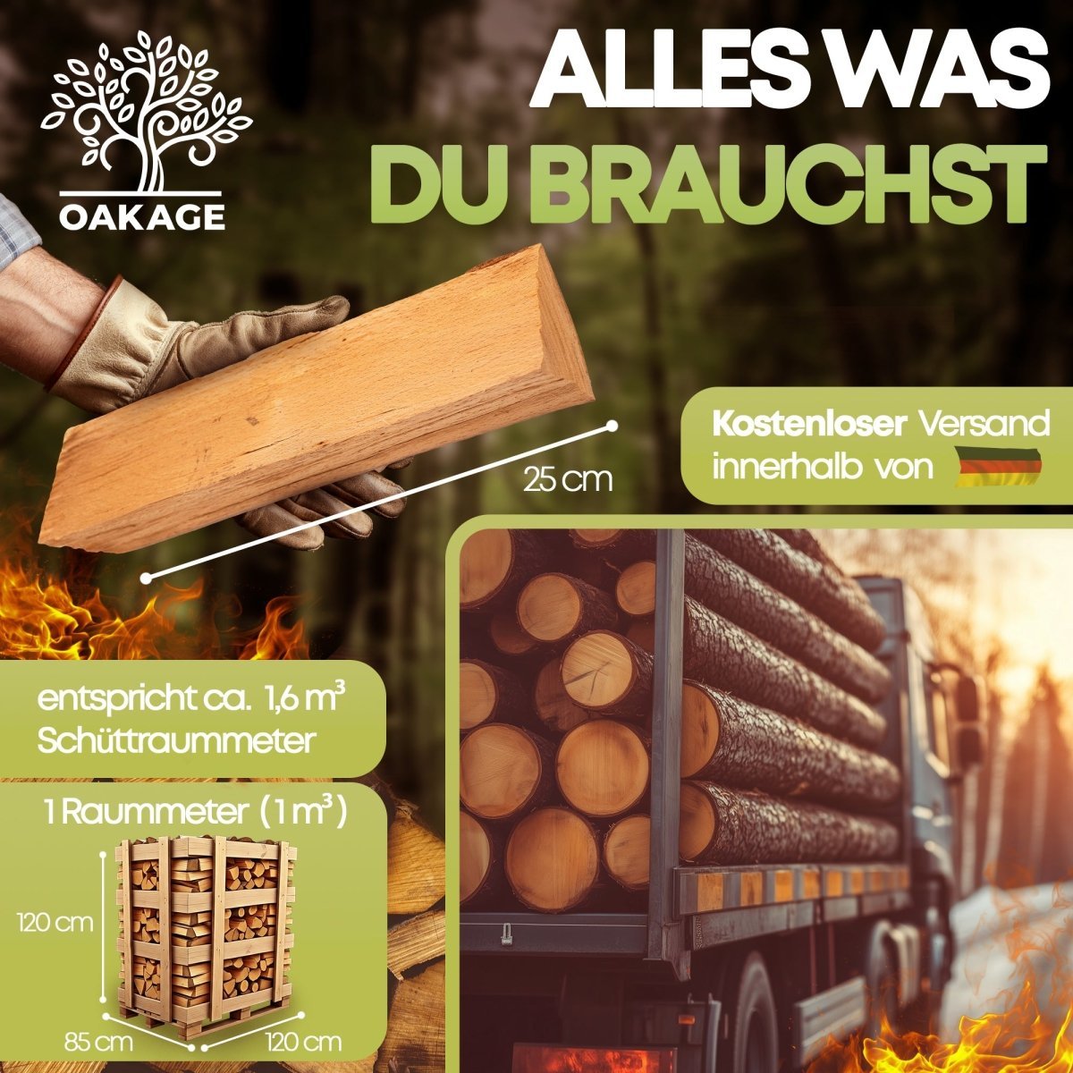 Buchen-Brennholz kammergetrocknet 1 Raummeter Palette 25 cm ofenfertig